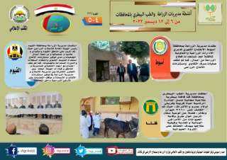 انفوجراف.. تعرف على أنشطة وجهود...