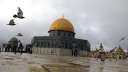 الهيئة الإسلامية المسيحية لنصرة القدس...