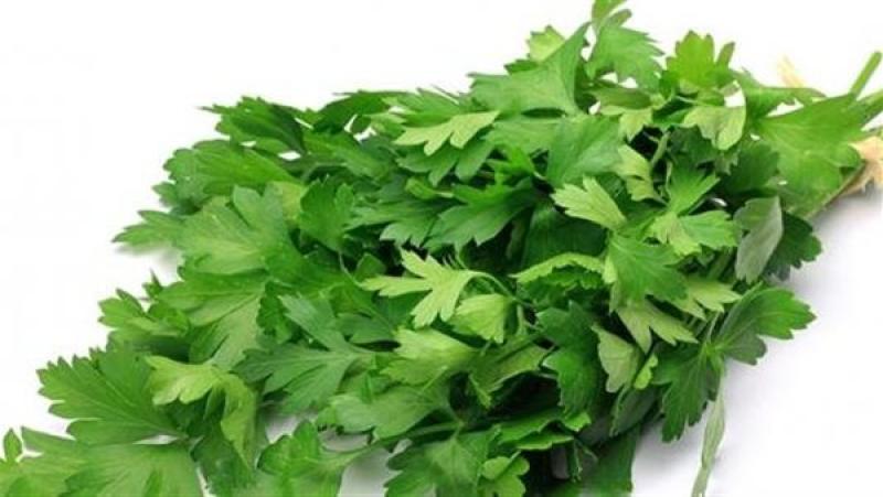صورة أرشفية