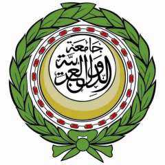 البيان التمهيدي لبعثة جامعة الدول...
