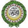 البيان التمهيدي لبعثة جامعة الدول...