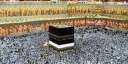 رئيس الوزراء: إلغاء الحج على...