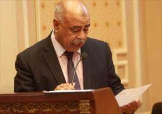 عبدالنعيم حامد: مجلس الوزراء يوافق...