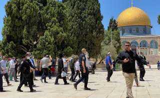 الاحتلال يعتقل عددا من الفلسطينيين.....