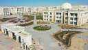 حصاد الجامعات الأهلية الجديدة ”المنبثقة...