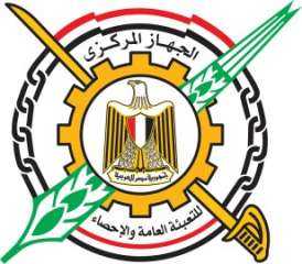 الإحصاء: ارتفاع مستخدمي الإنترنت من...
