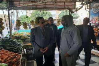 محافظ شمال سيناء يتفقد محطة...