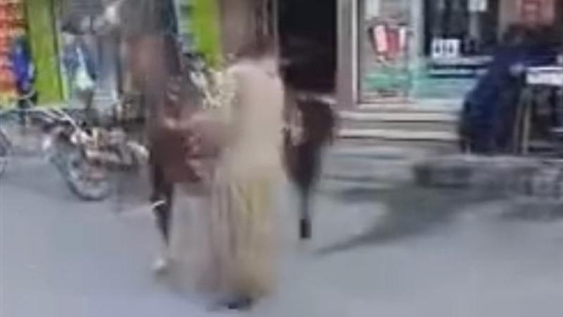 مواطن بالأقصر يضرب حصان بوحشية