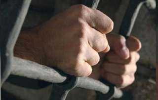 إحالة أوراق عاطل للمفتي.. خطف...