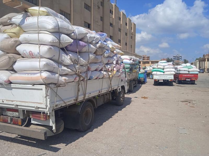 39708 طن.. انتظام توريد الأرز بكفر الشيخ