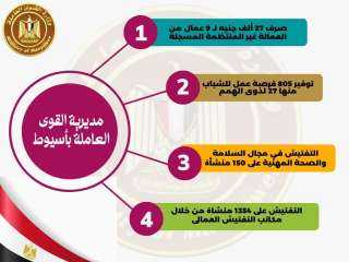 بالإنفوجراف..خدمات قدمتها مديريات قوى عاملة...