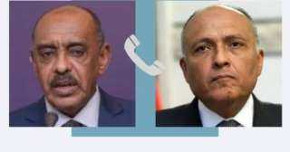 وزير الخارجية يبحث مع نظيره...