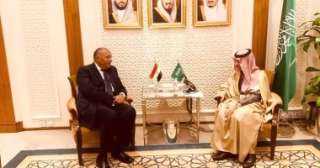 لقاء ثنائى مغلق بين وزير...