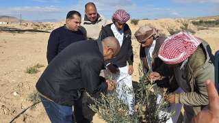 الزراعة:  بحوث الصحراء يطلق...