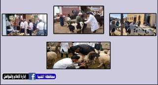 السبت ...بدء الحملة القومية للتحصين...