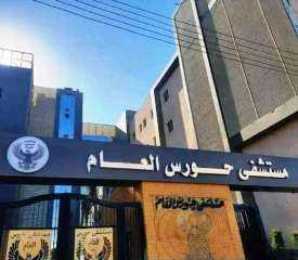 محافظ أسوان : بدء التشغيل...