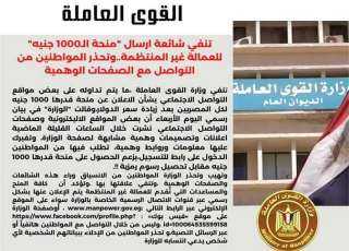 القوى العاملة تنفى شائعة صرف...