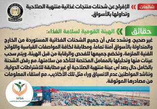 الحكومة تنفى الإفراج عن شحنات...
