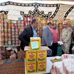 المجلس التنفيذي لمركز ومدينة سمسطا...
