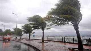 أمطار ونشاط للرياح.. تعرف على...