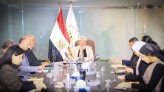 ياسمين فؤاد: صرف 300 مليون...