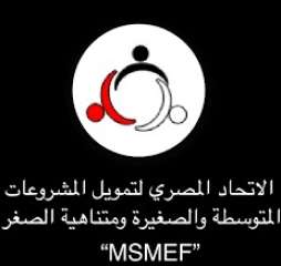 غدا ..”المصري لتمويل المشروعات الصغيرة”...