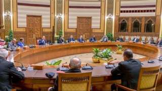 الرئيس السيسي يؤكد أهمية العمل...