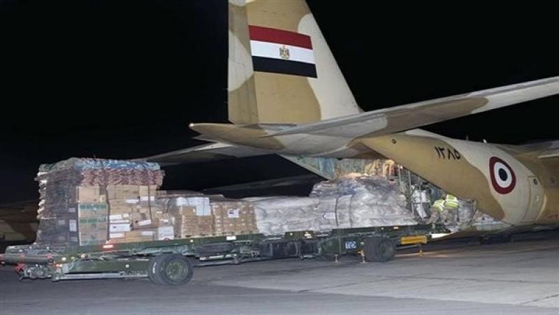 الطائرة المصرية