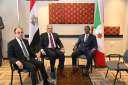 وزير الرى  يلتقى بنظيره...