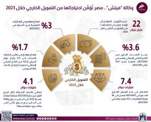 فيتش: مصر تُؤمِّن احتياجاتها من...