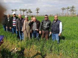 الزراعة تواصل متابعة الحقول الإرشادية...