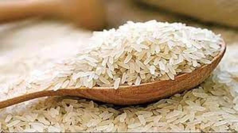 أسعار الأرز اليوم