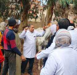 بيطري الشرقية يُحصن ١٠٤ ألف...
