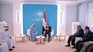 العرابي: الدول العربية تنظر إلى...