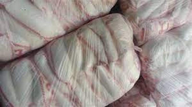 سعر السكر اليوم