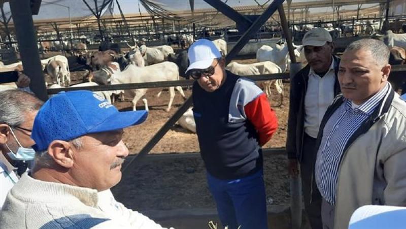 وزير قطاع الأعمال خلال زيارته لتوشكى مؤخرا