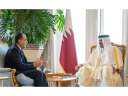 أمير قطر: الفترة المقبلة ستشهد...