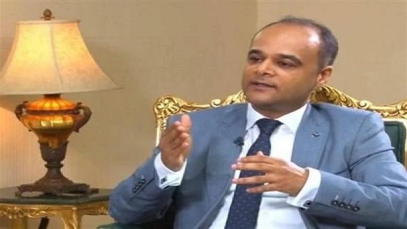 السفير نادر سعد