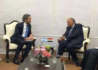 سامح شكري يلتقي مع وزير...