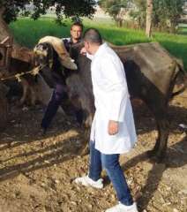 محافظ الجيزة يعلن انطلاق الحملة...