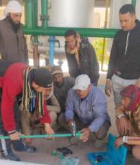 ” القوى العاملة”: بدء دورات...