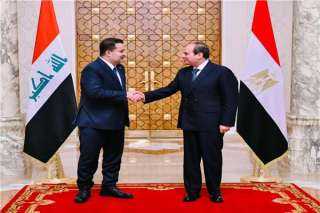 السيسي: مصر تدعم أمن واستقرار...