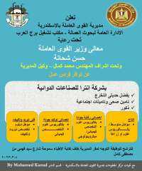 ”القوى العاملة” :فرص عمل ...