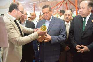 وزير التنمية المحلية ومحافظ بنى...