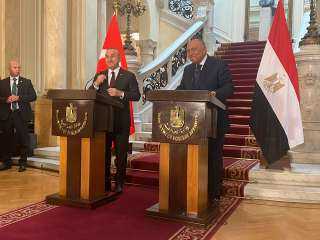 شكري: مباحثات مع وزير خارجية...