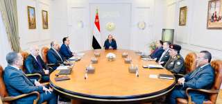الرئيس السيسى يوجه بمواصلة العمل...