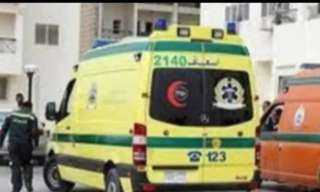 إصابة شخصين إثر انقلاب تروسيكل...