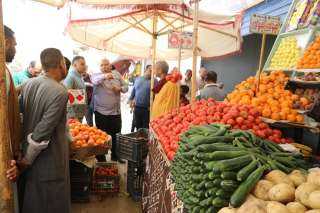 محافظ الوادي الجديد يواصل جولاته...