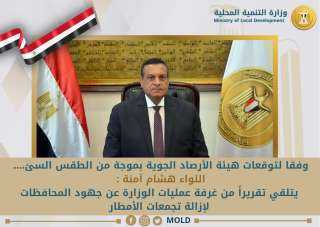وزير التنمية المحلية يتلقي تقريراً...
