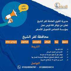 ”القوى العاملة ” : فرص...